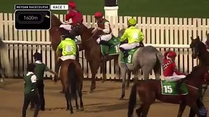 Coverage of the Al Maktoum Challenge Round 1, the first Group 1 of the year in the UAE, over 1,600 meters at Meydan Racecourse in Dubai. Here is the field of 16. 1. AF Alajaj - coming off win in Group 2 Bani Yas at Meydan 2. AF Sanad - oldest in field at 10 years old 3. Barakka - comming off second in Group 2 Madjani at Meydan 4. Bel'izam - back in UAE, 2nd in 2019 Sheikh Zayed Jewel Crown 5. Deryan - 2021 Dubai Kahayla Classic winner 6. ES Abu Mousa - coming off win in GGC Cup at Sharjah 7. Ham
