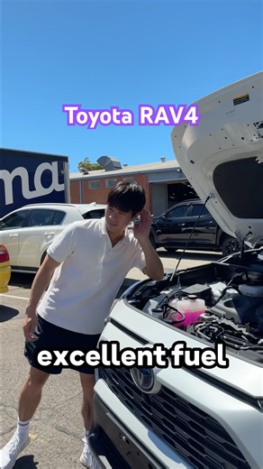 The Toyota RAV4 really is that car in 2025.