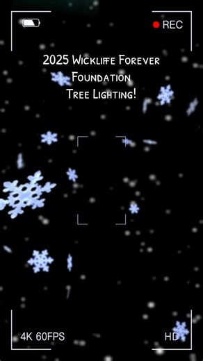 Thank you to EVERYONE who came to the 2025 Wickliffe Forever Foundation Tree Lighting at Coulby Mansion🎄 | Wickliffe Forever