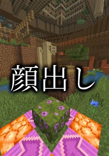 顔出しでマインクラフト実況を楽しもう！