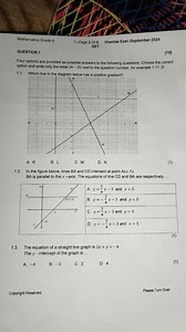 Question 11.1 Which line in the diagram has a positive gradie... | Filo
