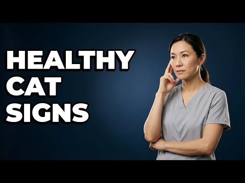 What Are Common Signs Of Cat Wellness?