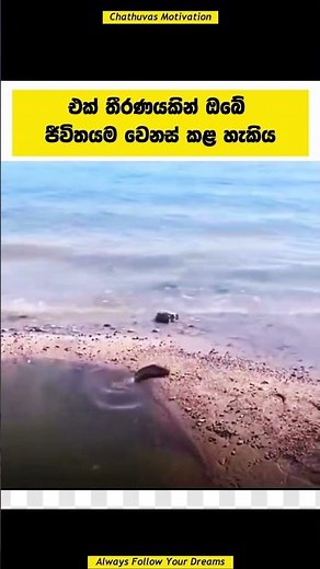 One Disicion, Whole Life💪💯#sinhalamotivation #motivation #sinhala #shorts #study #motivational