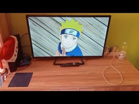 Un esempio di testardaggine 😮‍💨😮‍💨😮‍💨