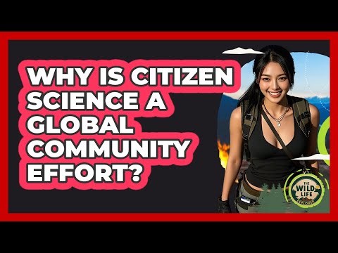 Why Is Citizen Science A Global Community Effort? - The Wild Life Explorer