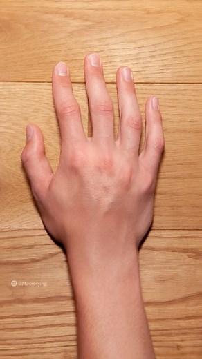 macrofying on Instagram: "Zooming into my hand. #microscope #zoom #macrofying #hand #micro #macro #science #biology"