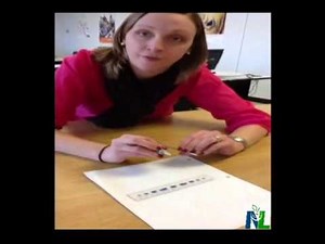 Drawing Circles with a Compass