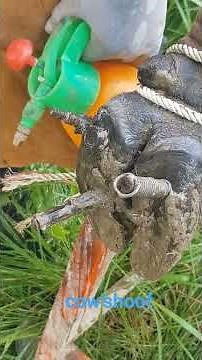 Rescue cow'shoof injured by rusty sharp steel#animals #horse #satisfying @HorseHoofTV