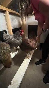 Tucking the girls in for night night