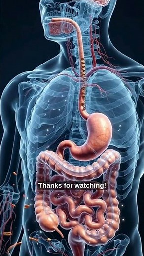 What Cinnamon Does Inside Your Body (3D Animation)