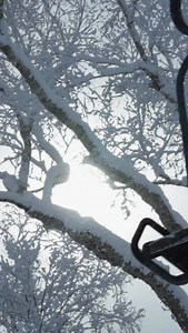 Famous for its perfectly spaced tree runs and legendary Hokkaido “reset” every night, Rusutsu is a rider’s playground. Whether you’re hunting for deep stashes or carving through the quiet glades, there is nowhere else quite like it. | Rhythm Japan