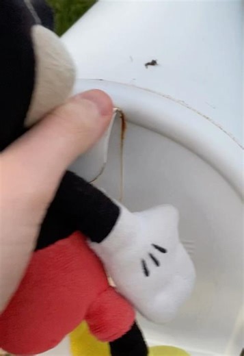 Mickey Checks The Mail