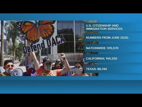 What to know about DACA