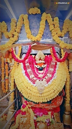 आज माँ त्रिपुर सुंदरी l maa Vindhyavasini l Vindhyavasini Dham #maa#maavindhyavasini#trending#shorts