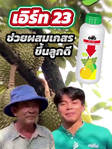 CR เกษตรกรผู้ใช้จริง #ทุเรียน #ไซโฟ มาแนะนำการใช้ผลิตภัณฑ์ “เอิร์ท 23” “ช่วยผสมเกสร ขึ้นลูกดี” ✨เอิร์ท 23 สารอะมิโนทริพโตเฟน ✅ช่วยผสมเกสร เพิ่มการติดผลโดยตรง ✅เกสรสมบูรณ์แข็งแรง ✅เพิ่มเปอร์เซ็นต์การติดผล ✅ฟอร์มดี ทรงสวย อัตราใช้ 100 ซีซี ต่อน้ำ 200 ลิตร 👉สนใจสั่งซื้อสินค้า ทักแชทได้ทาง inbox