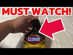 CloroxPro, Urine Remover for Stains and Odors, Automatic Toilet Cleaner (My Honest Review)