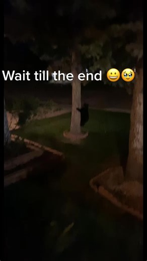 Bake 🇺🇸 (@baker_bo)’s videos with original sound - Bake 🇺🇸