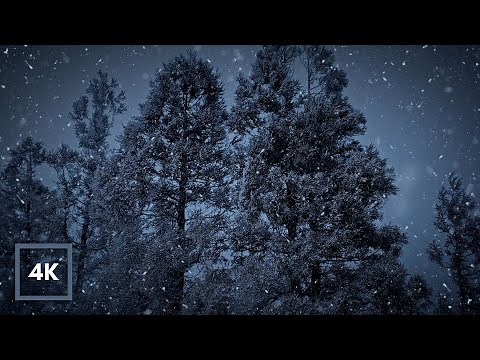 Blizzard Sounds for Sleeping. Snowstorm Sounds for Insomnia. Wind Sounds to Block Noise. White Noise