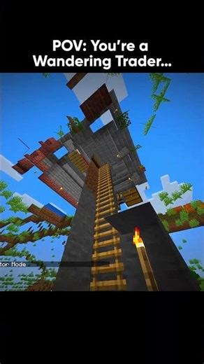 POV: Life as a Wandering Trader...