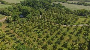 Beautiful Thala Beach Nature Reserve, just 10 minute south of Port Douglas 🌴 🌴 🌴 | Weekender