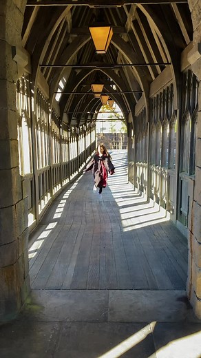 スタジオツアー東京のおしゃれな写真スポット