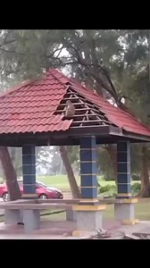 20K views · 125 reactions | Would you hire this monkey? 樂 #roof #roofer #roofing #roofershelper #roofingcontractor #monkey | The Roofer's Helper | Facebook