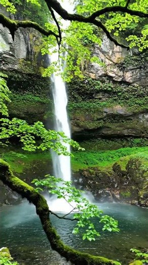 Hidden Waterfall Serenity 🌿💦 | Nature Relaxation