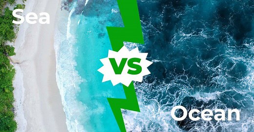 Sea vs Ocean: The Key Differences