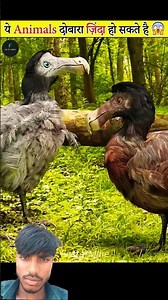 Here we are some of the extinct animals that Scientists can revive. Watch this interesting video to