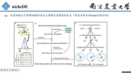 2024第25课：nicheDE与nicheLR