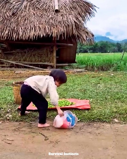 477K views · 6.8K reactions | Little Child Gathers Fruits to Sell for a Living Part 9 | Survival Instincts | Facebook