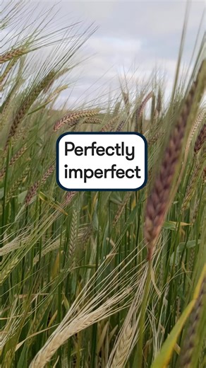 To read our full article on what true love can look like, follow our link below: https://www.theschooloflife.com/article/what-true-love-looks-like/ | The School of Life