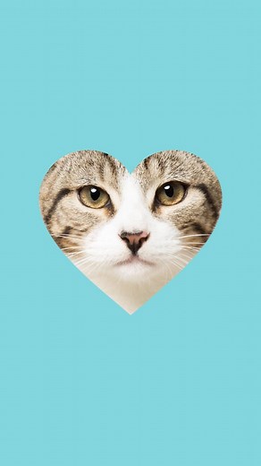 Want to try and remember all the benefits of serving your cat Edgard & Cooper? It’s easy! Just think of words that rhyme with “cat.” | Edgard & Cooper