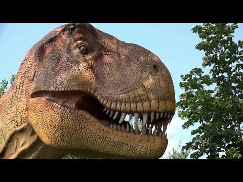 Tyrannosaurus