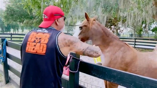 127K views · 1.3K reactions | In this episode of Paul Sr. Unchained I take you around my farm of rescue animals and show what it takes to feed them every morning. | Orange County Choppers | Facebook