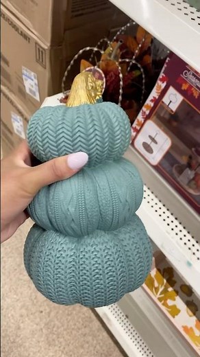 🍂 Budget-friendly & cozy vibes only! Dollar-Tree Finds ✨ #FallOnABudget #DollarTreeFinds #CozyVibes