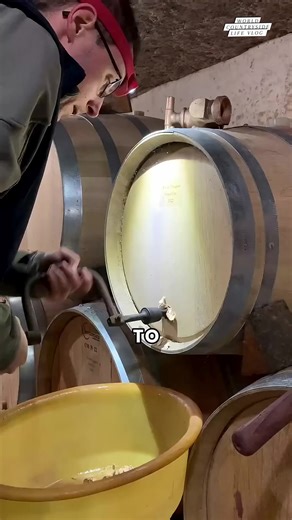 Wine barrel craftsmanship! 🍷✨ The art of shaping oak into perfect barrels #worldcountrysidelifevlog #WineBarrelCraft #Cooperage #Winemaking DISCLAIMER NO COPYRIGHT INFRINGEMENT INTENDED | World Countryside Life Vlog