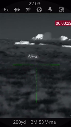 Cattle Feeder Coyotes