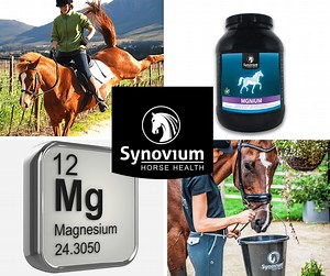 Leading Vet Advice on Magnesium for Horses - Synovium Horse Health