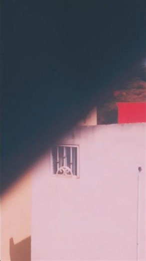 scp 867
