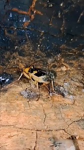 27K views · 181 reactions |    The power is incredible! What...