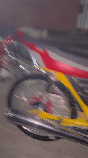 Entrenamiento de Perros: Técnicas Efectivas para Ladrar