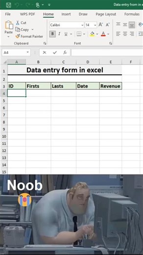 Data entry form in Excel