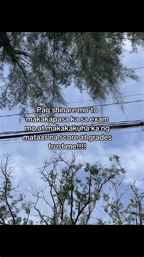 Trust me bro! #flypシ #viral #xybca #unflopme #flyyyyyyyyyyyyyy #foryoupage #flyp #relatable #flyppppppppppppppppppppppppppppppp #viral