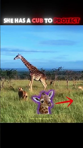 Mother Giraffe Fights ENTIRE Lion Pride Alone! 😱🦁