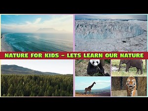 Nature For Kids - Educational Video about Nature for Kids and Toddlers