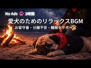 【3時間・広告なし🐾】愛犬が落ち着くリラックスBGM💤お留守番・睡眠をサポート