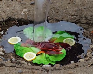 Smooth roads ahead! Using epoxy to fix potholes permanently! | 5-Minute Crafts
