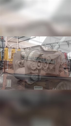 Judith Schooling on TikTok