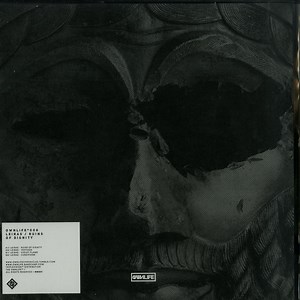 Leiras - Ruins Of Dignity